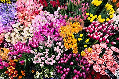 袋鼠在等着你！《猎人：荒野的召唤》将推出全新的澳大利亚狩猎地点